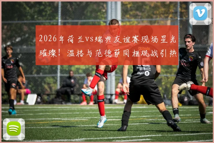 2026年荷兰vs瑞典友谊赛现场星光璀璨！温格与范德萨同框观战引热议，揭秘两位传奇现身背后缘由及现场高清图集